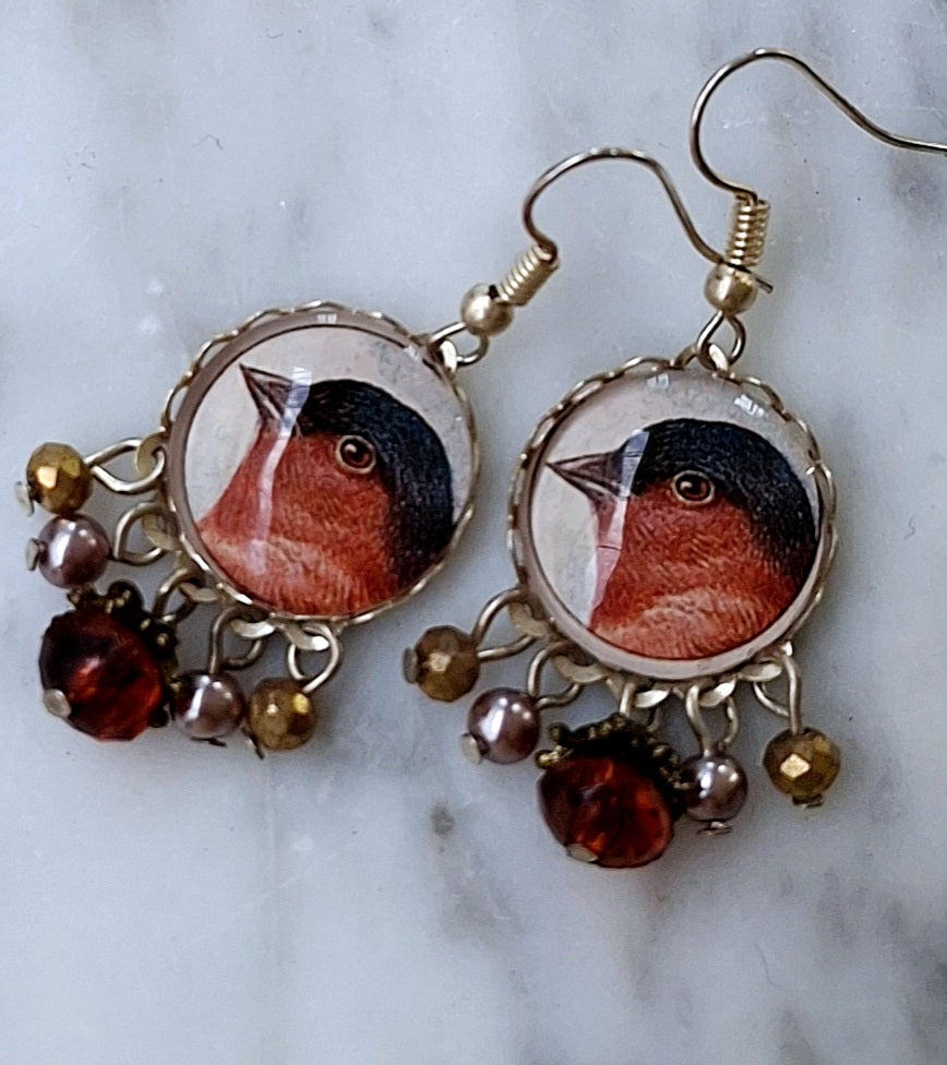 Medium round Robin earrings