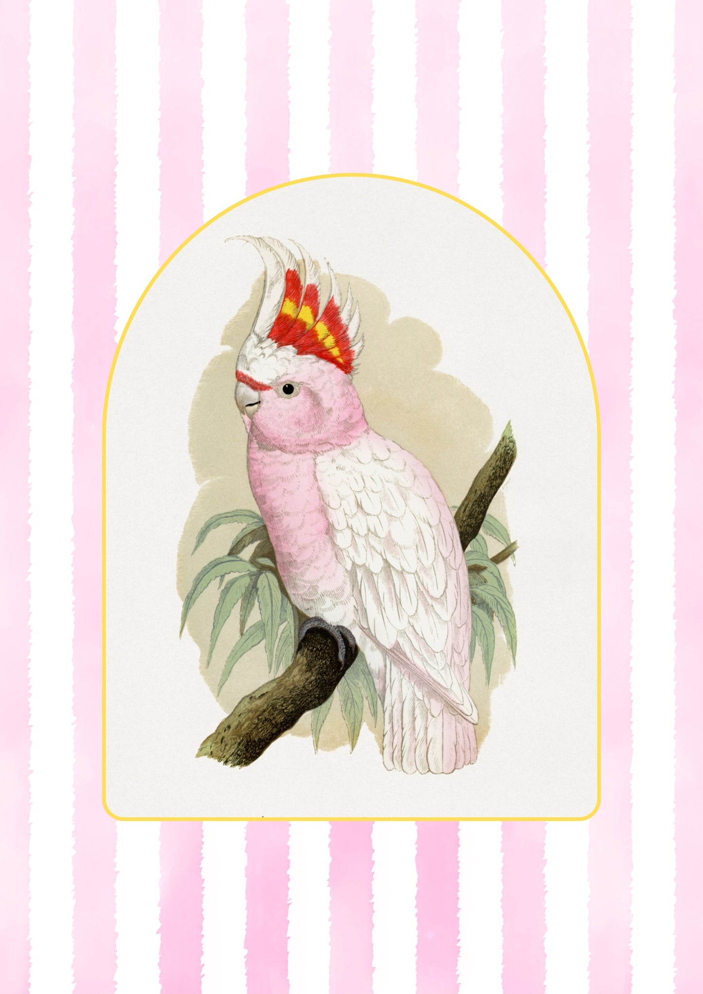 Cotton Tea Towel – 65 × 45 cm Tea Towel Parrot 5