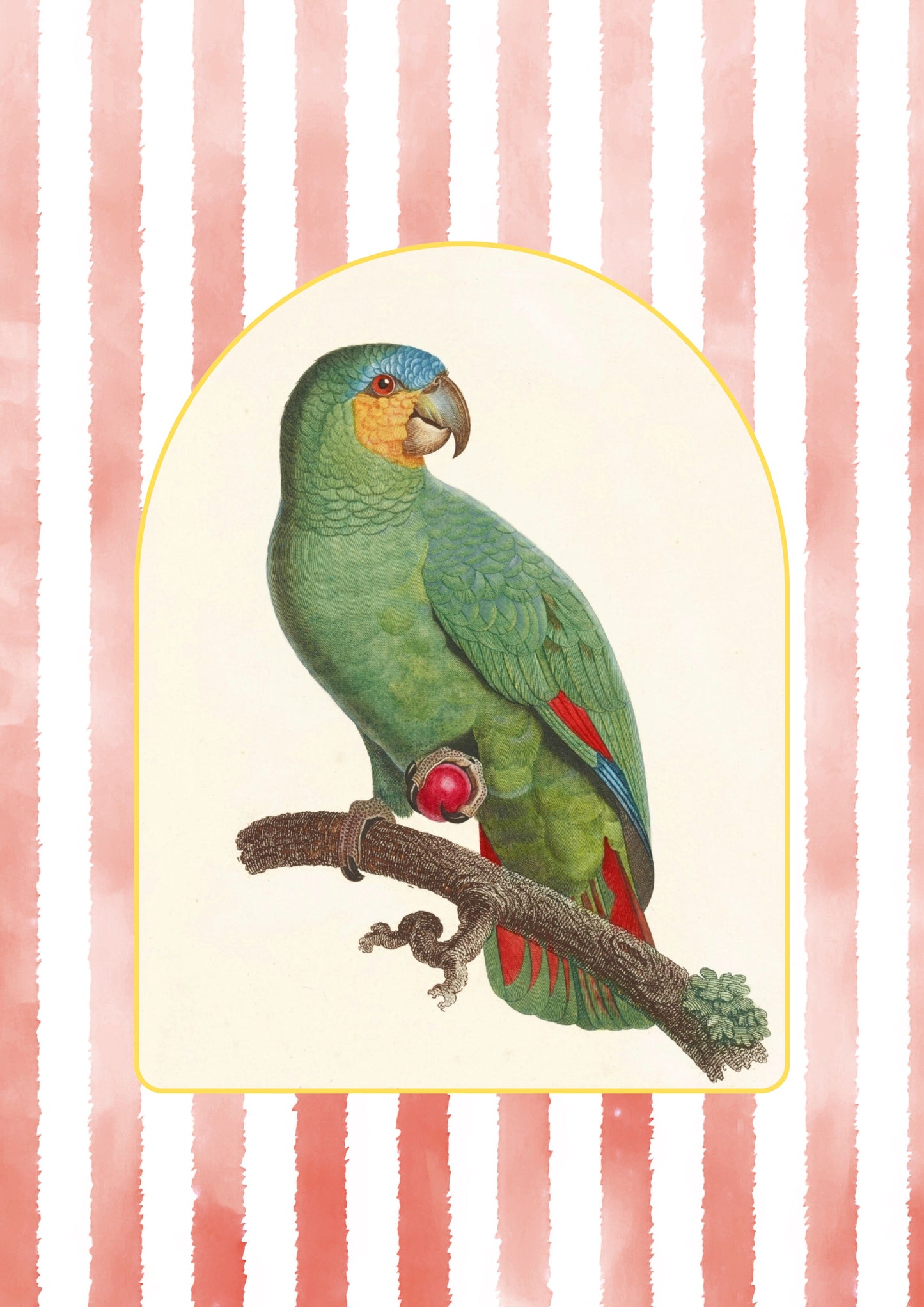 Cotton Tea Towel – 65 × 45 cm, Tea Towel Parrot 3