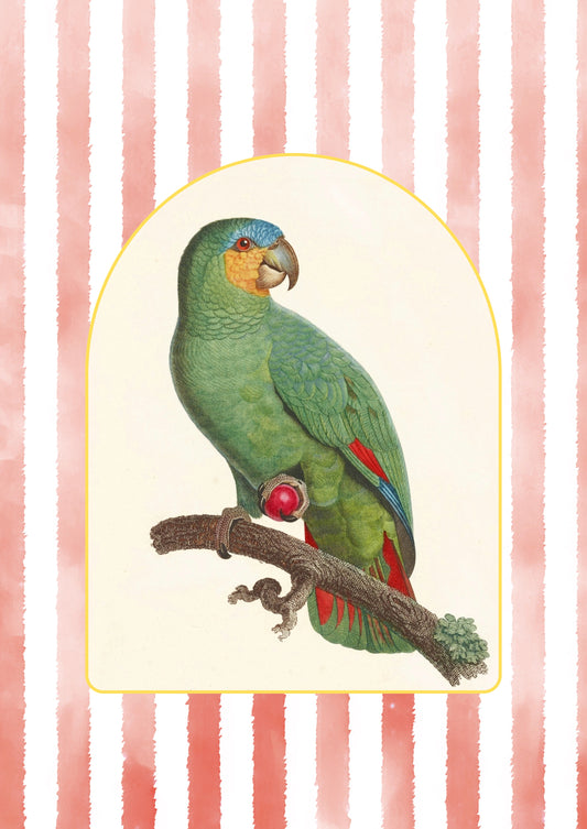 Cotton Tea Towel – 65 × 45 cm, Tea Towel Parrot 3