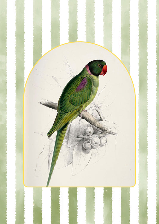 Cotton Tea Towel – 65 × 45 cm, Tea Towel 2