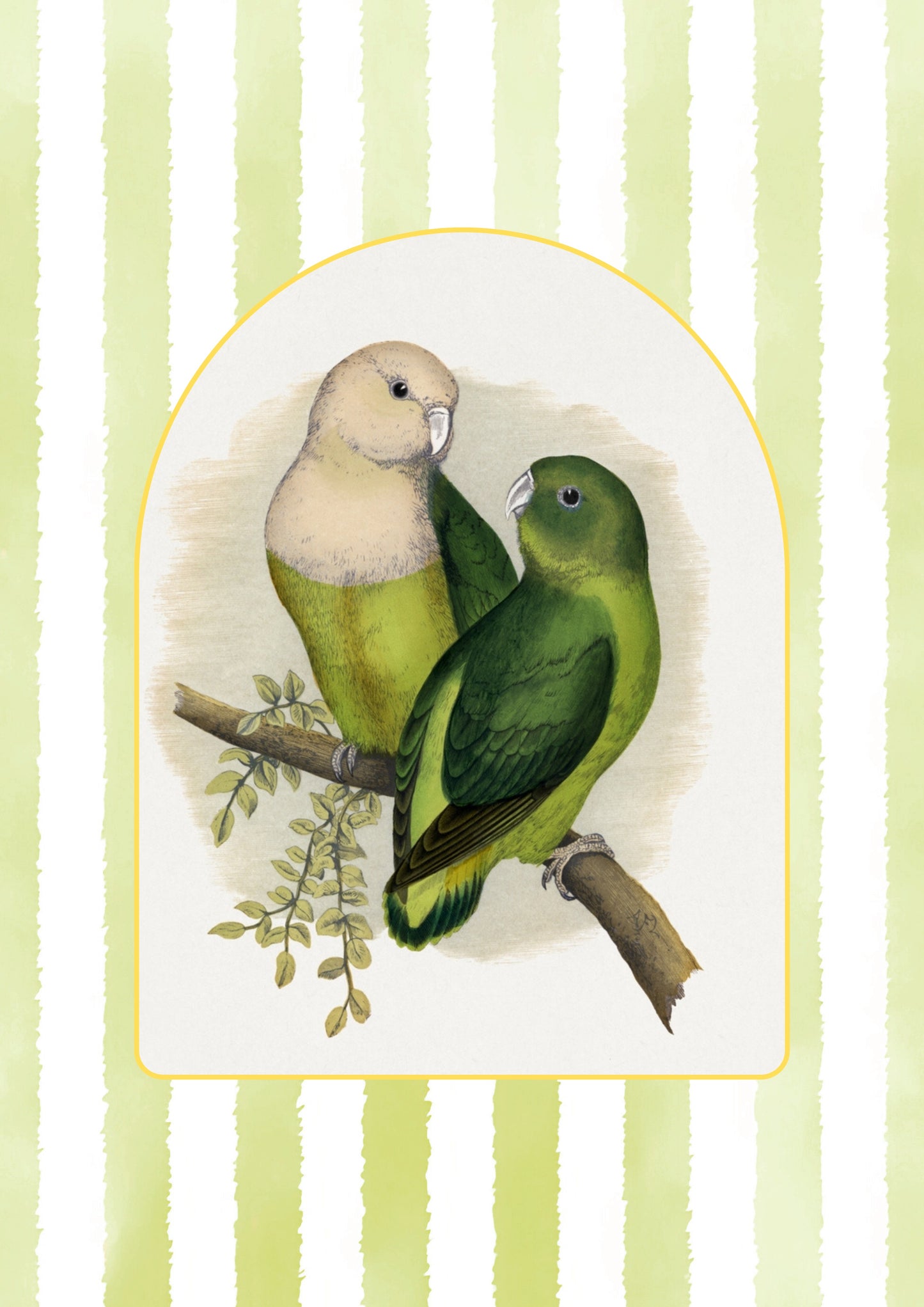 Cotton Tea Towel – 65 × 45 cm, Tea Towel Parrot 1