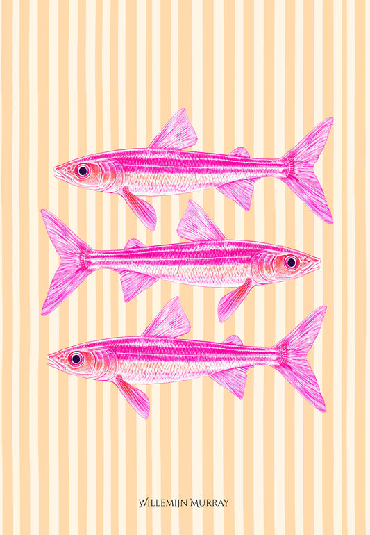 Cotton Tea Towel – 65 × 45 cm, Tea Towel Sardines 5