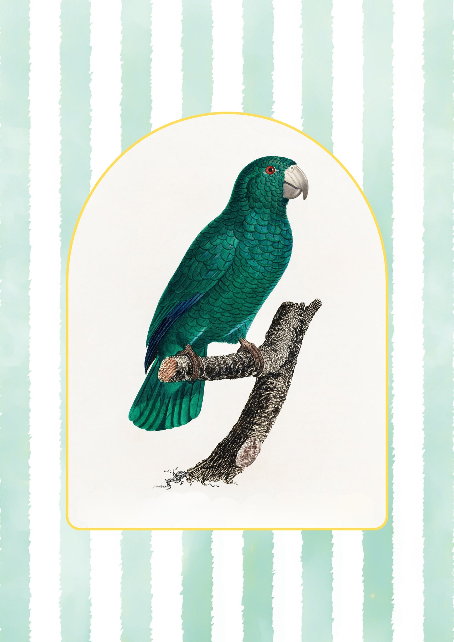 Cotton Tea Towel – 65 × 45 cm, Tea Towel Parrot 4